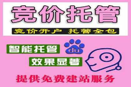 SEM竞价代运营公司案例实战指南