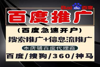 SEM竞价代运营公司成功案例：如何提升广告转化率
